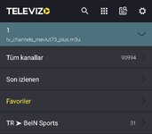Screenshot_20250618_144046_Televizo.jpg
