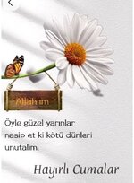 Shared image
