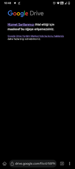 Screenshot_20250627-104820_Kiwi_Browser_(Dev).png