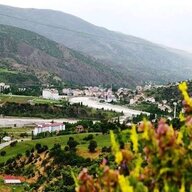 yeniçamoluk