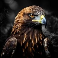 BLackEagLe38