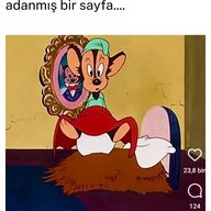 R0Nİ