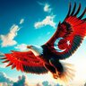 isaarslan_67