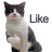 ugur_tuter