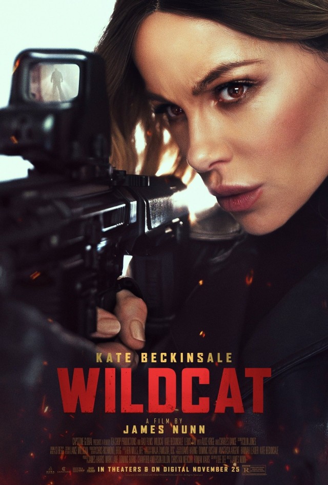 wildcat.jpg