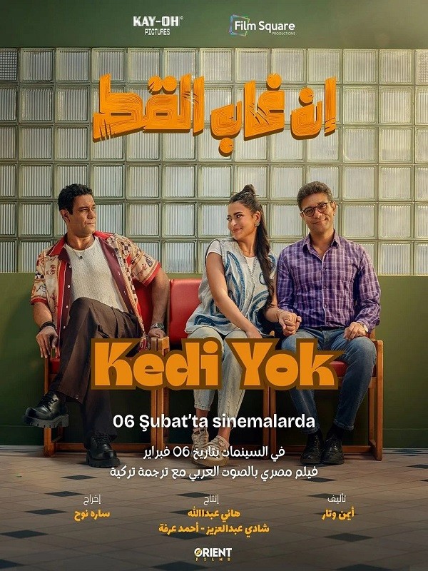 kedi-yok.jpg