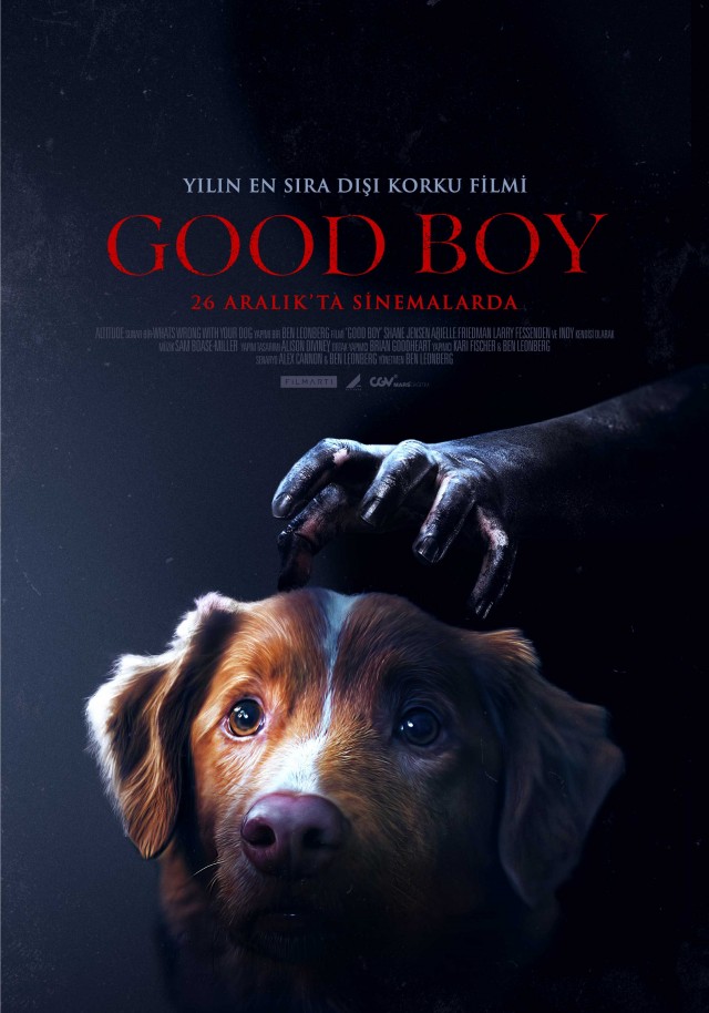 good-boy.jpg