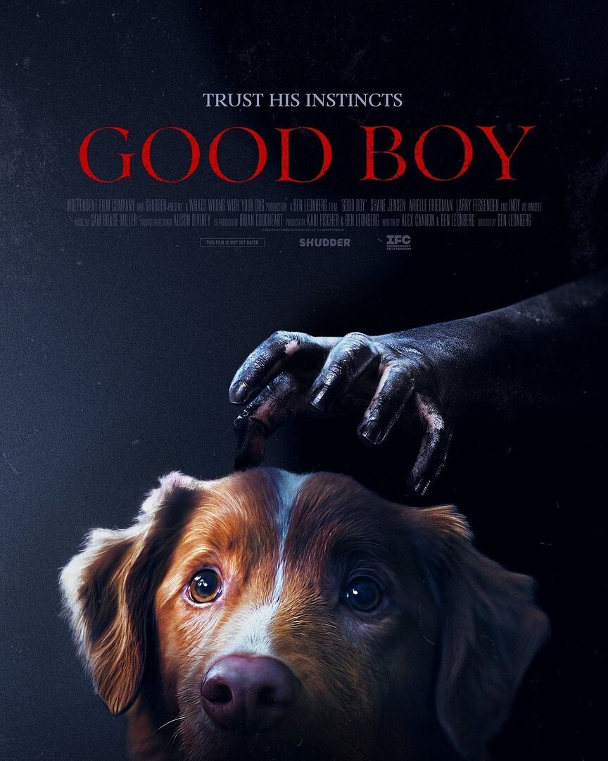 good-boy.jpg