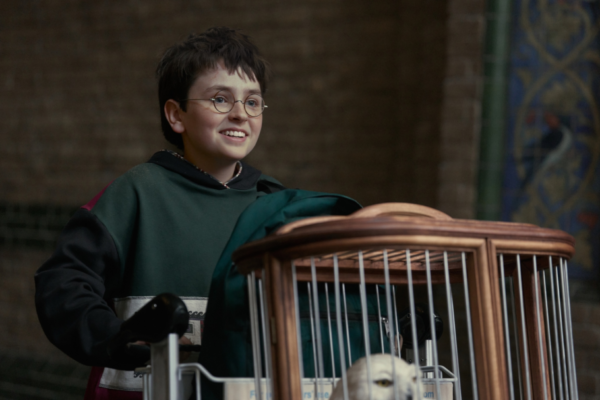 dominic-mclaughlin-600x400.webp