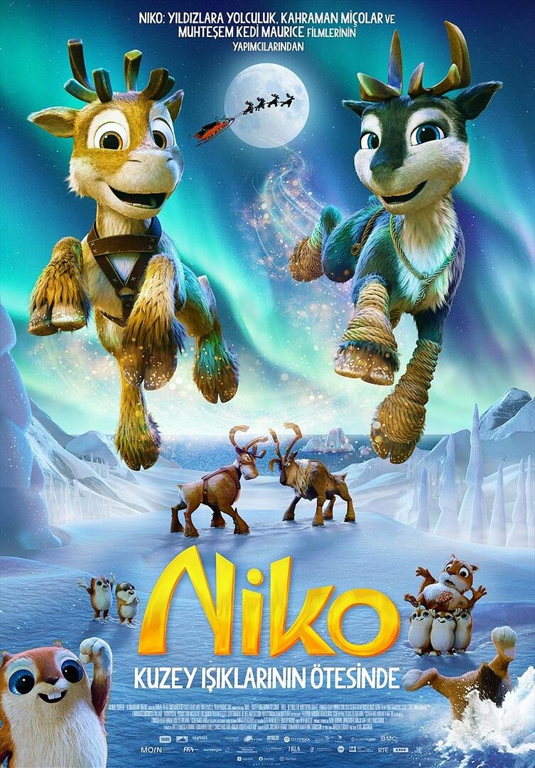 niko-3.jpg