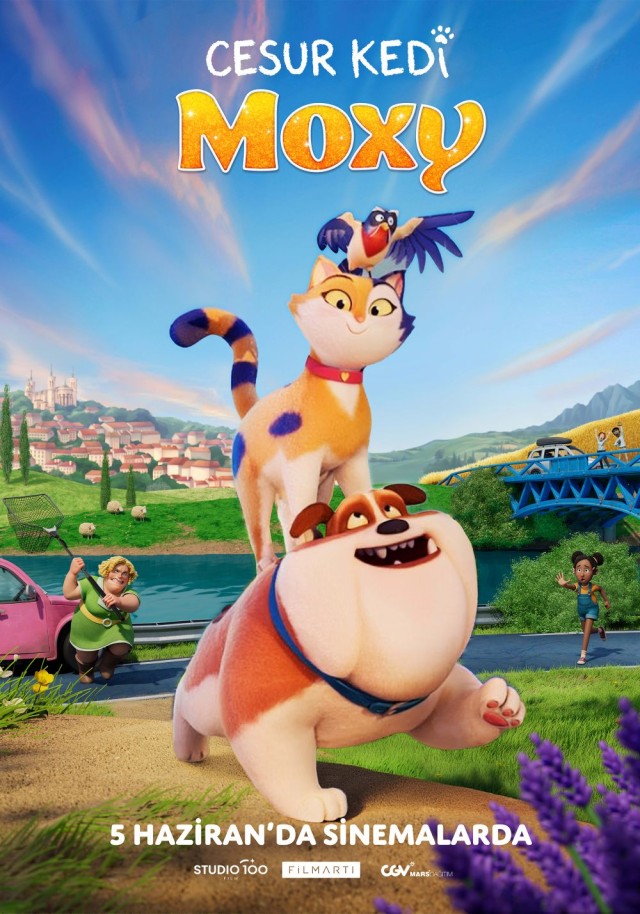 cesur-kedi-moxy.jpg