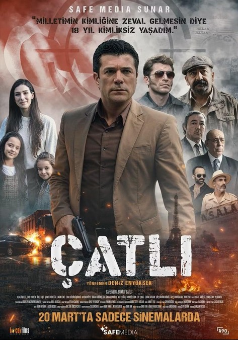 catli.jpg