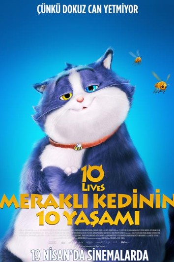 merakli-kedinin-10-yasami.jpg