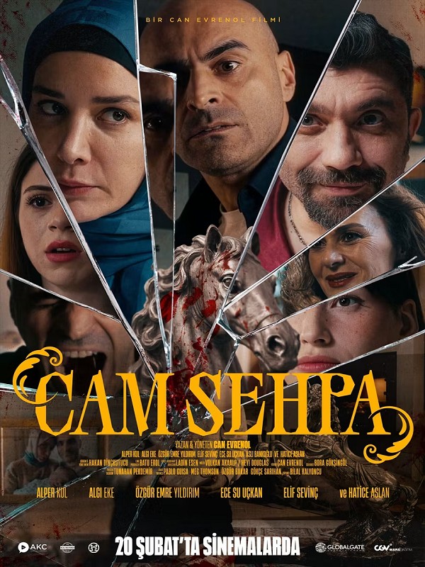 cam-sehpa.jpg