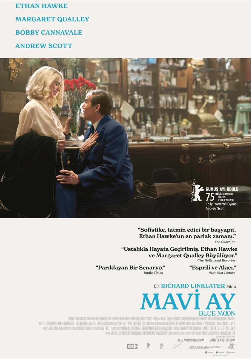mavi-ay.jpg