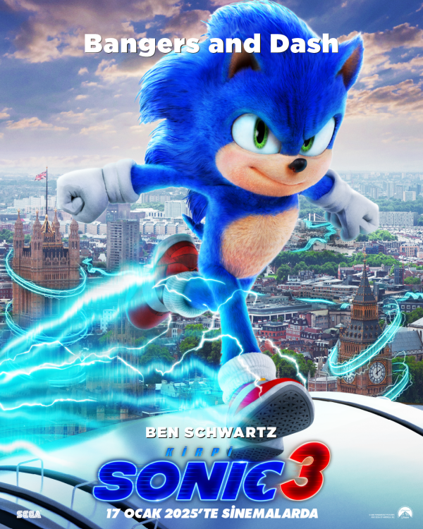 kirpi-sonic-3.png