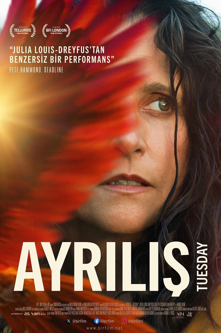 ayrilis.jpg