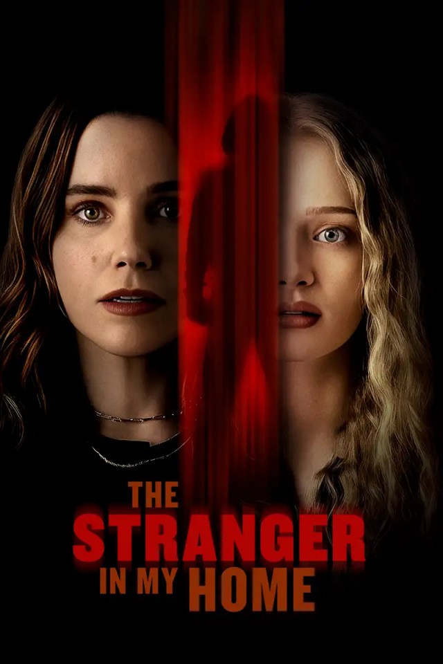 THE-STRANGER-IN-MY-HOME.jpg