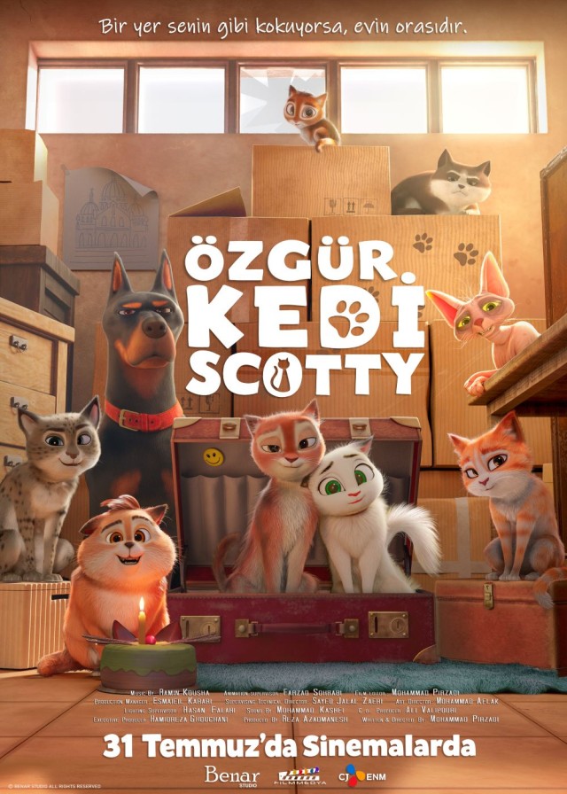 ozgur-kedi-scotty.jpg