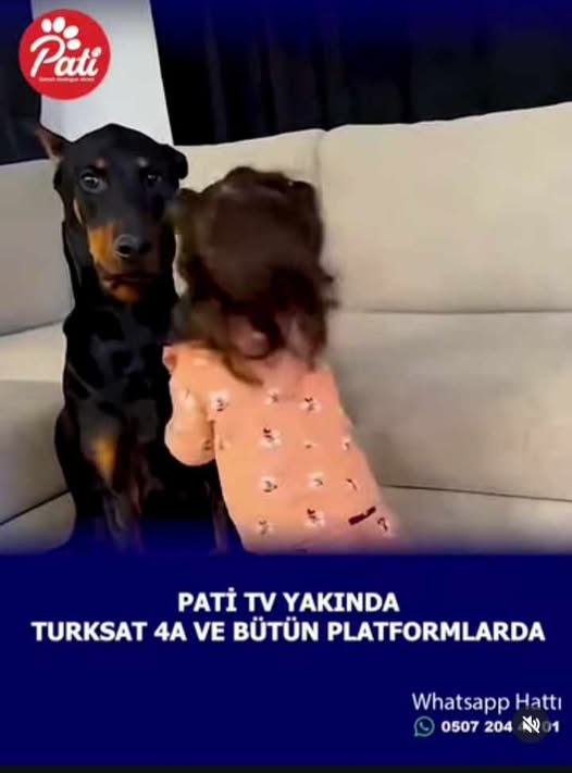 pati-tv.jpg