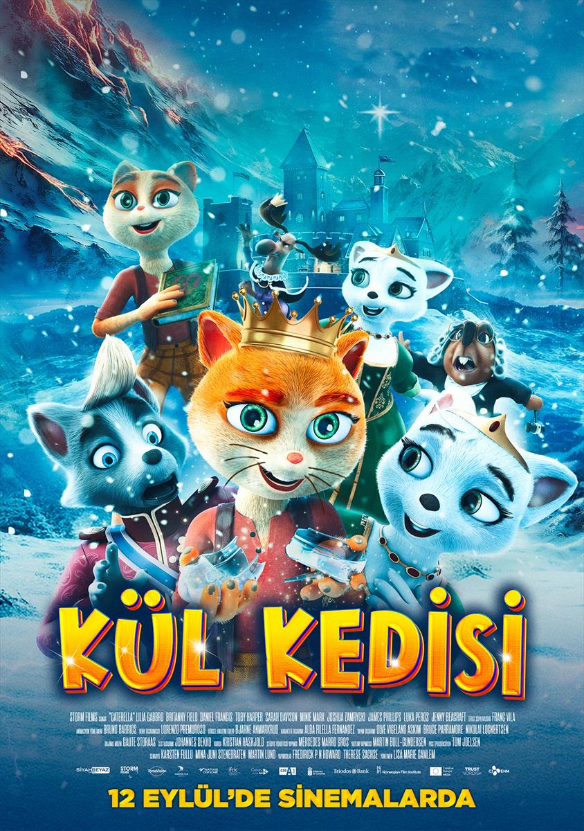 kul-kedisi-poster.jpg